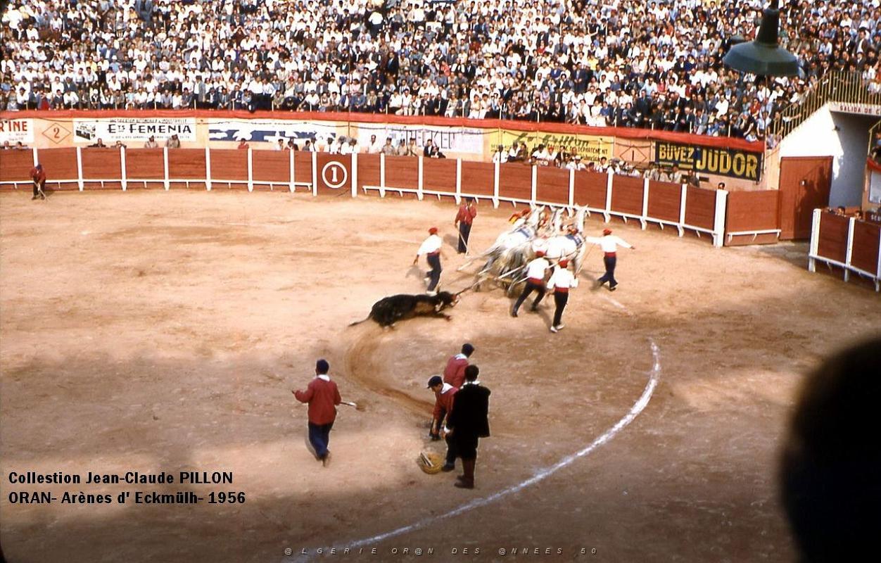 Oran- Arenes d' Eckmulh 30.jpg